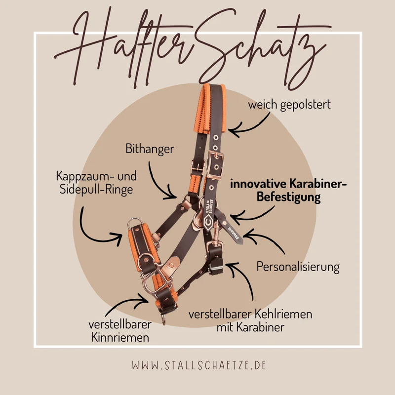HalfterSchatz – das wandelbare Biothane-Halfter zum Führen, Longieren und Reiten