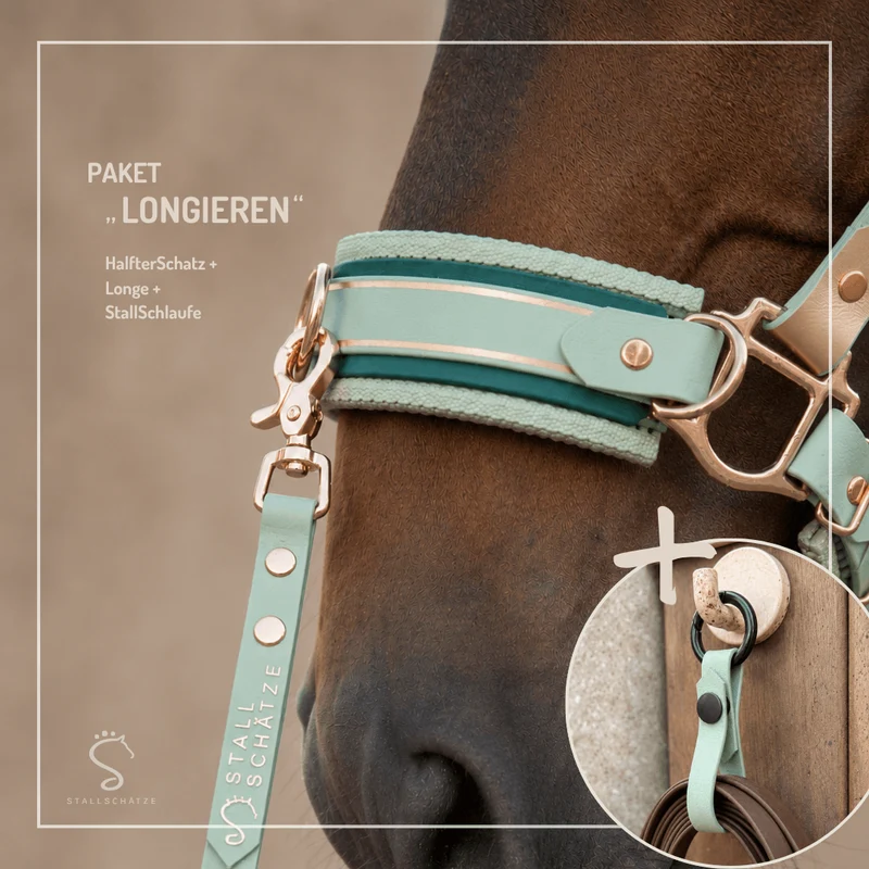 HalfterSchatz – das wandelbare Biothane-Halfter zum Führen, Longieren und Reiten
