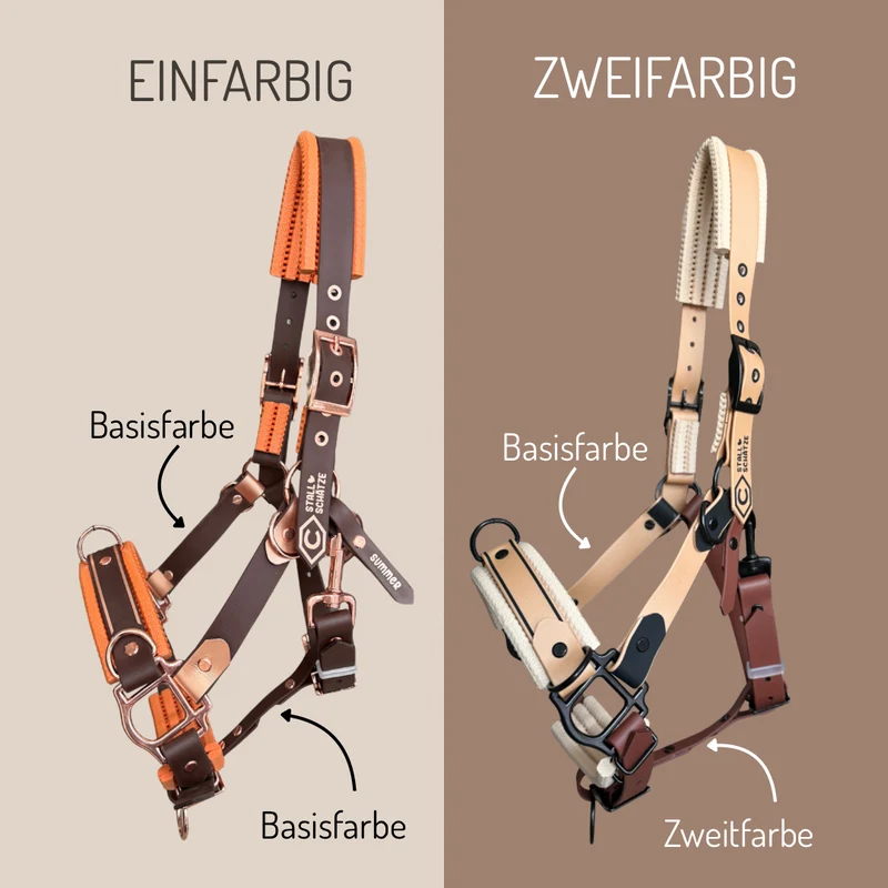 HalfterSchatz – das wandelbare Biothane-Halfter zum Führen, Longieren und Reiten