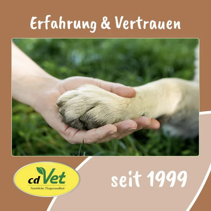 cdVet Fit-Hap Geweihmineral-Snack halb – Kausnack aus Rothirsch-Geweih für gesunde Zähne, starkes Zahnfleisch und langanhaltenden Kauspaß