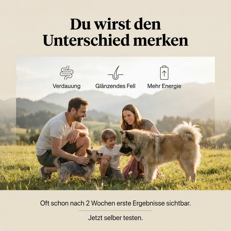 Uncle Rusty's Pferd mit Karotte und Quinoa Nassfutter - regionale Zutaten