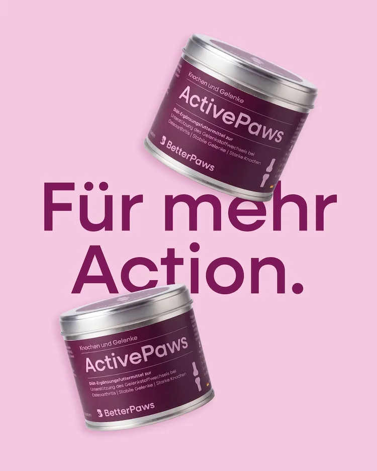 ActivePaws für Hunde von BetterPaws - Pulver für Knochen & Gelenke - 250g