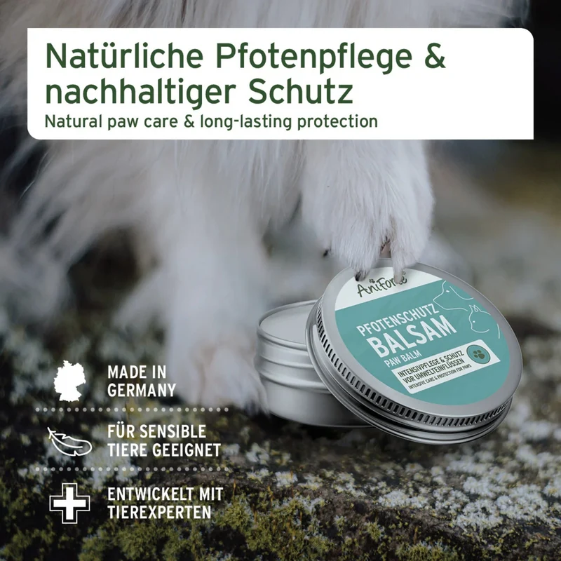 AniForte Pfotenschutz Balsam für Hunde – Natürlicher Pfotenbalsam gegen Risse, Salz & Hitze