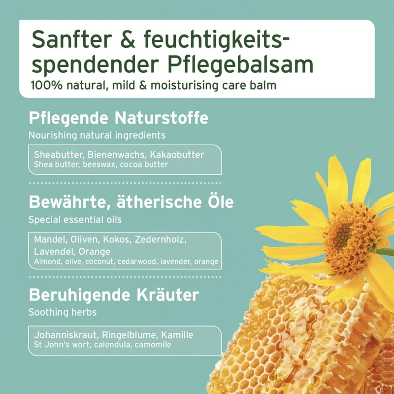 AniForte Pfotenschutz Balsam für Hunde – Natürlicher Pfotenbalsam gegen Risse, Salz & Hitze
