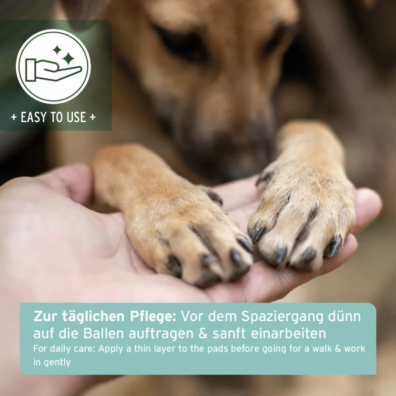 AniForte Pfotenschutz Balsam für Hunde – Natürlicher Pfotenbalsam gegen Risse, Salz & Hitze