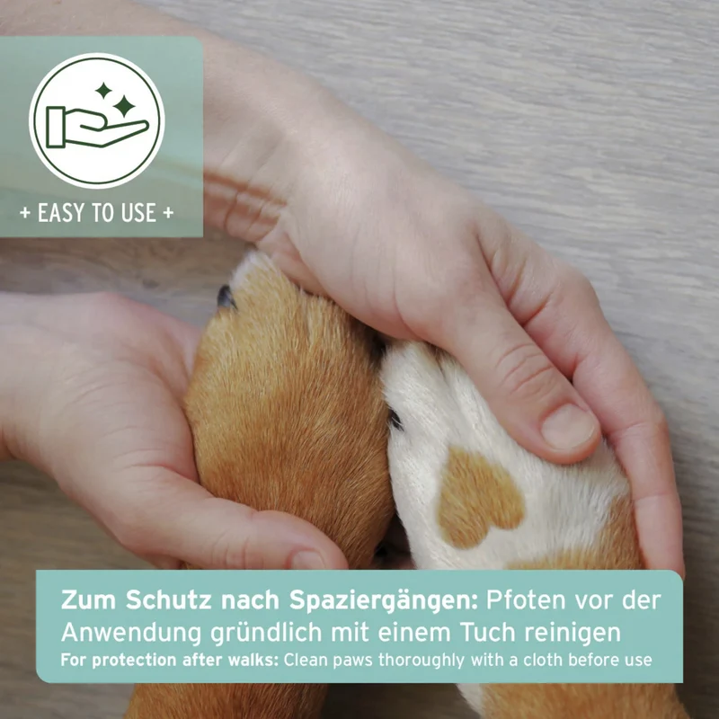 AniForte Pfotenschutz Balsam für Hunde – Natürlicher Pfotenbalsam gegen Risse, Salz & Hitze