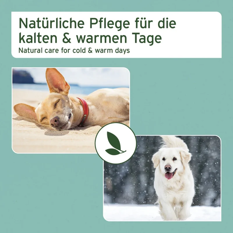 AniForte Pfotenschutz Balsam für Hunde – Natürlicher Pfotenbalsam gegen Risse, Salz & Hitze