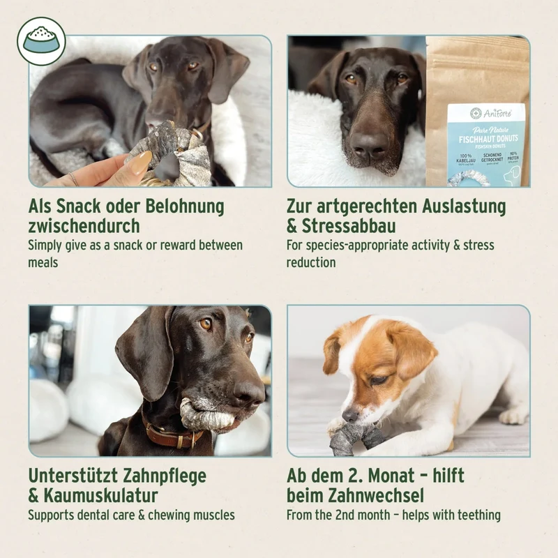 AniForte Fischhaut Donuts – Natürlicher Kausnack für Hunde, reich an Omega-3 & Kollagen