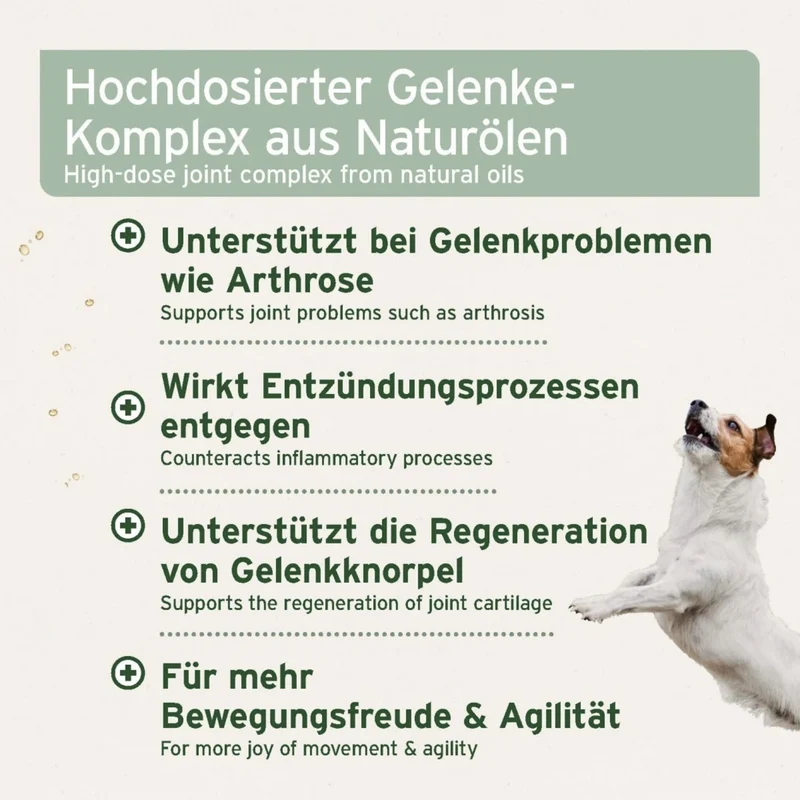 AniForte Arthro Omega Öl für Hunde – Premium Gelenkunterstützung mit Omega-3 bei Arthrose & Gelenkentzündungen
