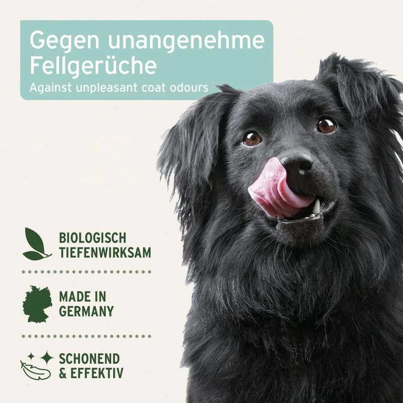 AniForte Fellgeruch-STOP Spray für Hunde – Natürlicher Geruchsneutralisierer gegen Hundegeruch