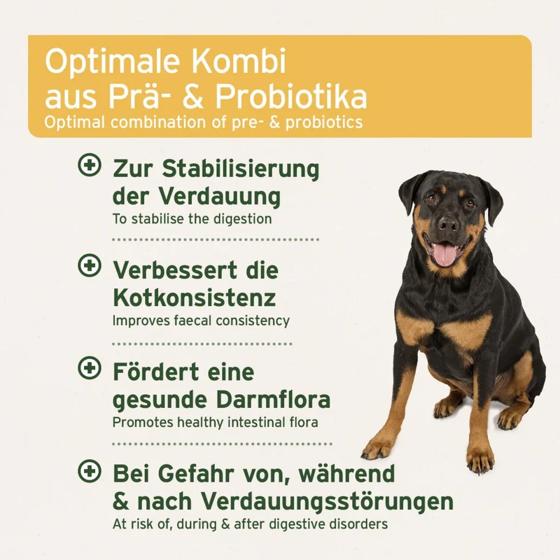 AniForte PLUS Probiotikum Tabs für Hunde – Natürliche Darmflora-Unterstützung mit aktiven Probiotika & Präbiotika für gesunde Verdauung