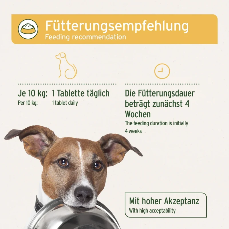AniForte PLUS Probiotikum Tabs für Hunde – Natürliche Darmflora-Unterstützung mit aktiven Probiotika & Präbiotika für gesunde Verdauung