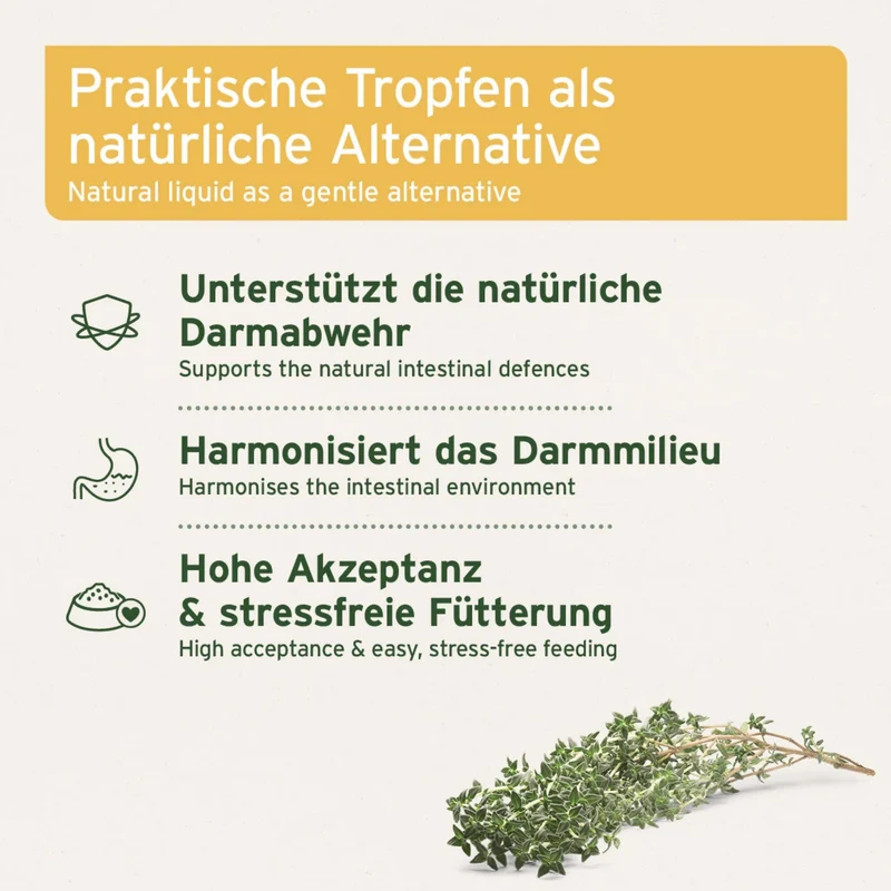 AniForte W-Liquid – Pflanzliche Darmunterstützung für Hunde & Katzen mit Aloe Vera, Salbei & Thymian