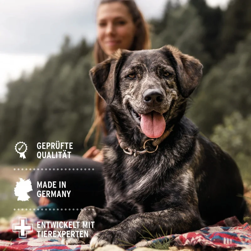 AniForte W-Liquid – Pflanzliche Darmunterstützung für Hunde & Katzen mit Aloe Vera, Salbei & Thymian