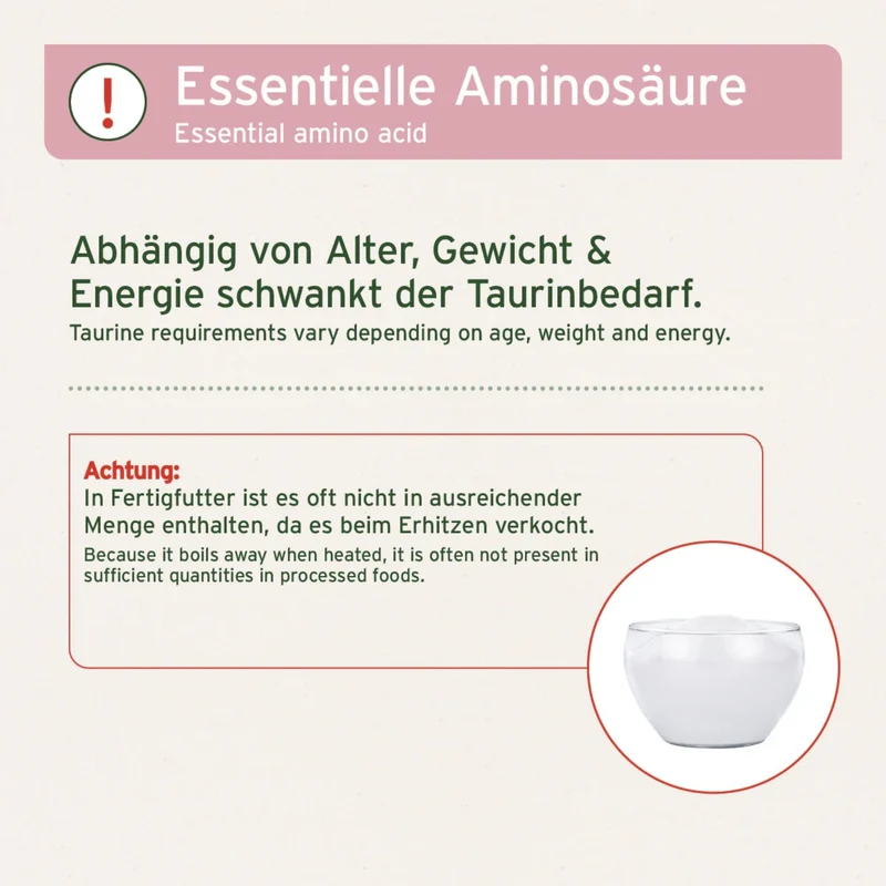 AniForte Taurin Pulver für Hunde – Hochdosiert & Rein für Herzgesundheit & Vitalität