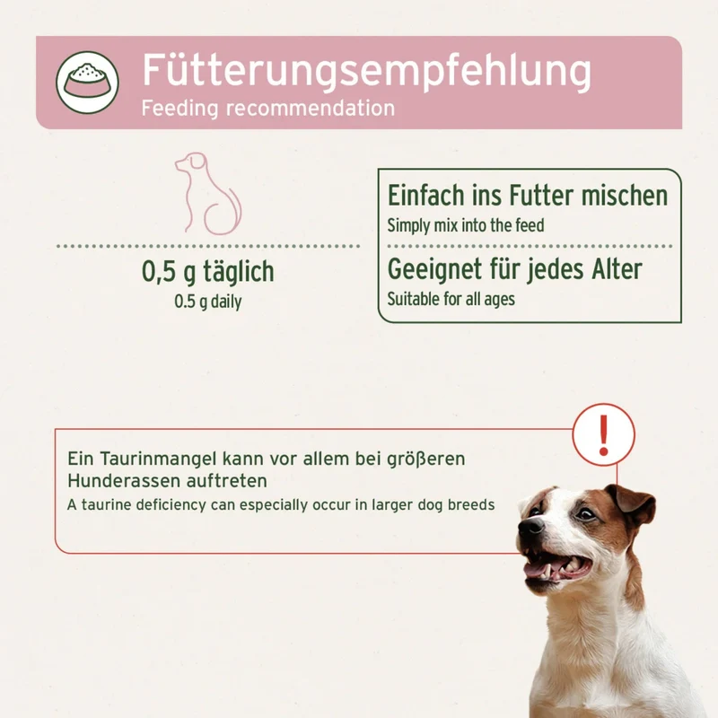 AniForte Taurin Pulver für Hunde – Hochdosiert & Rein für Herzgesundheit & Vitalität