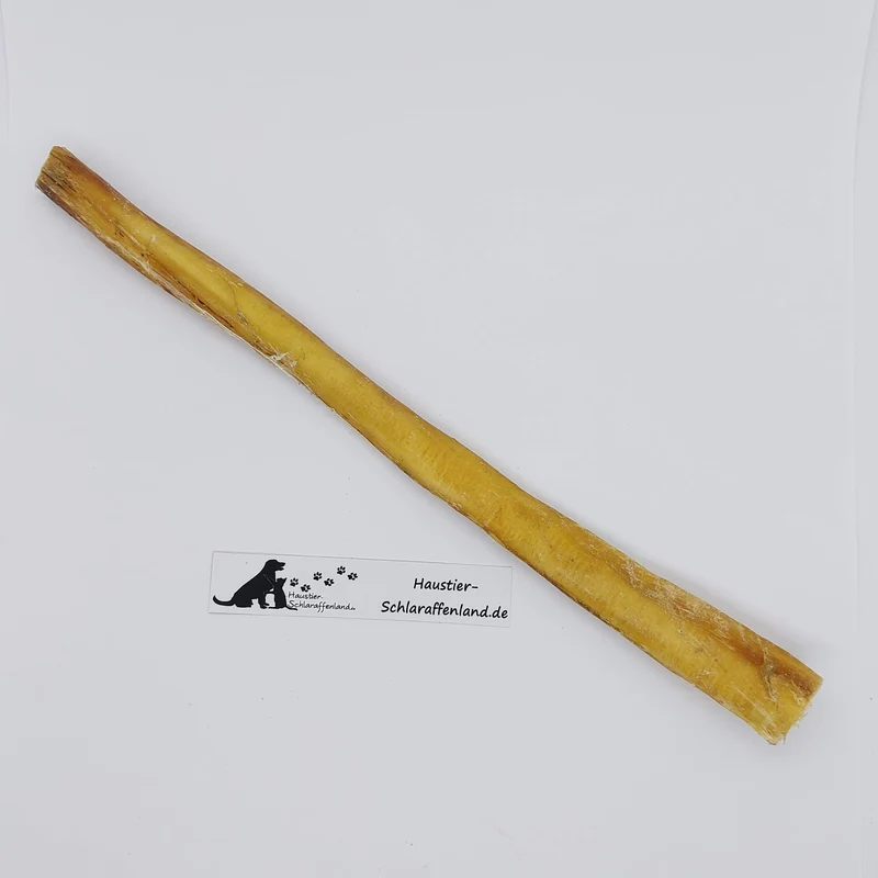 Ochsen-Ziemer, 30cm