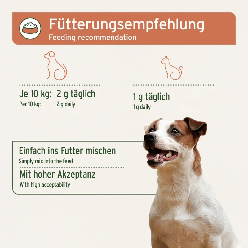 AniForte Hagebuttenpulver für Hunde – Natürliches Vitamin C für starke Gelenke & Immunsystem