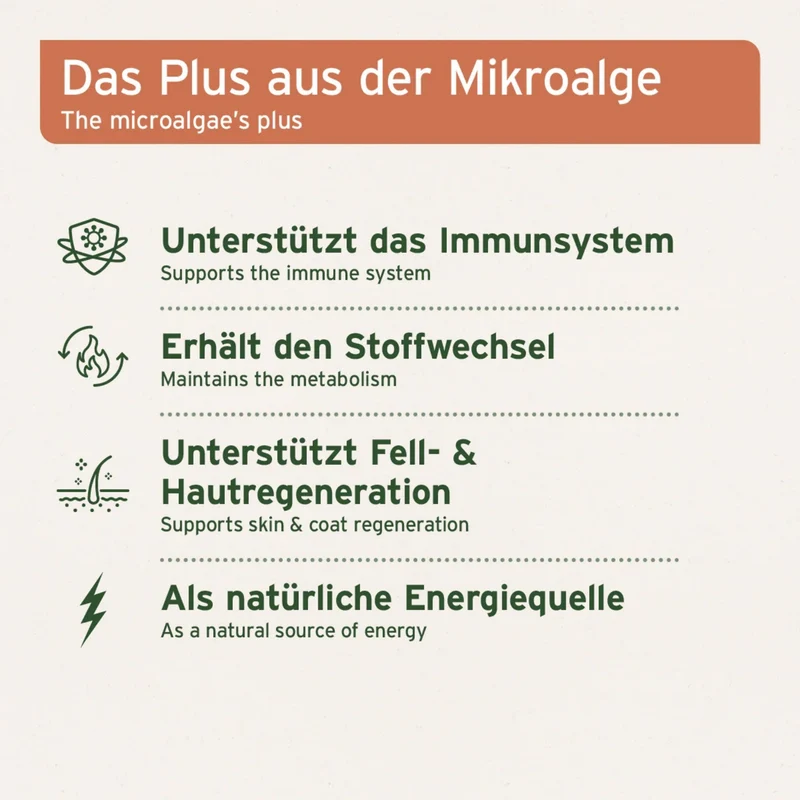 AniForte Bio Spirulina Pulver für Hunde – 100% Reine Mikroalge zur Stärkung von Immunsystem, Vitalität & Fellgesundheit
