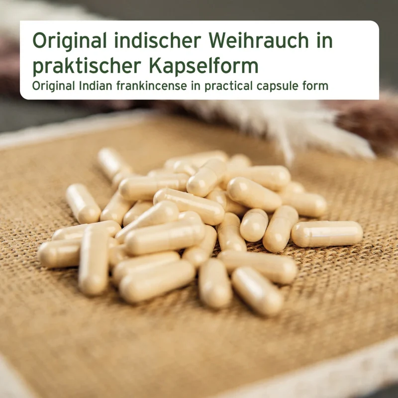 AniForte Weihrauch Kapseln für Hunde – Natürliche Unterstützung für Gelenke, Beweglichkeit & Wohlbefinden bei älteren und aktiven Hunden