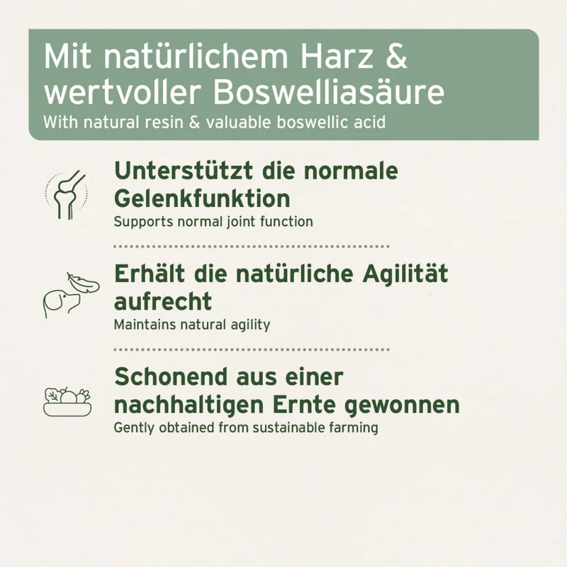 AniForte Weihrauch Kapseln für Hunde – Natürliche Unterstützung für Gelenke, Beweglichkeit & Wohlbefinden bei älteren und aktiven Hunden