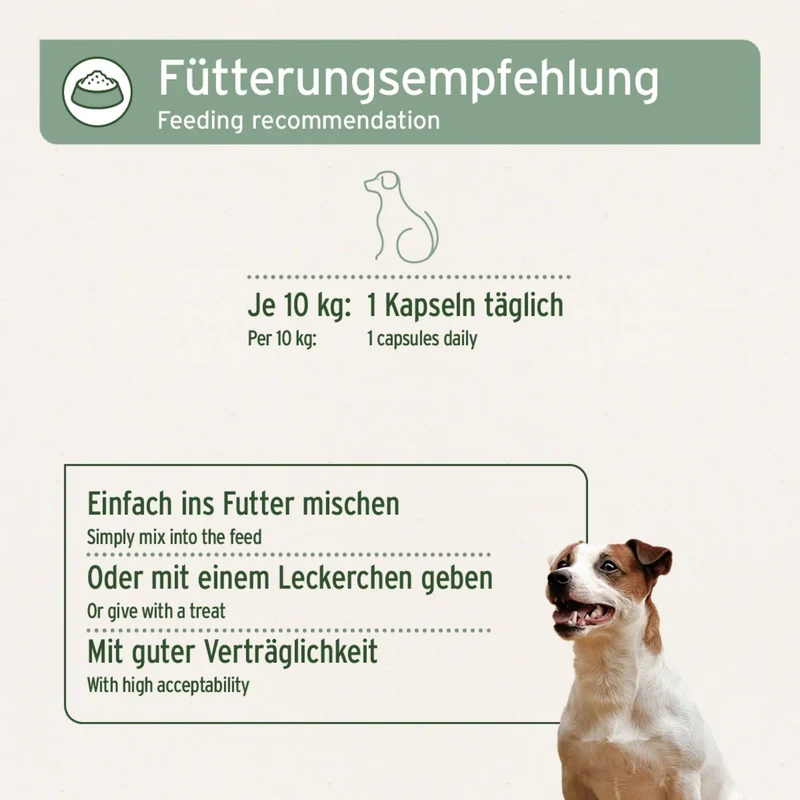 AniForte Weihrauch Kapseln für Hunde – Natürliche Unterstützung für Gelenke, Beweglichkeit & Wohlbefinden bei älteren und aktiven Hunden