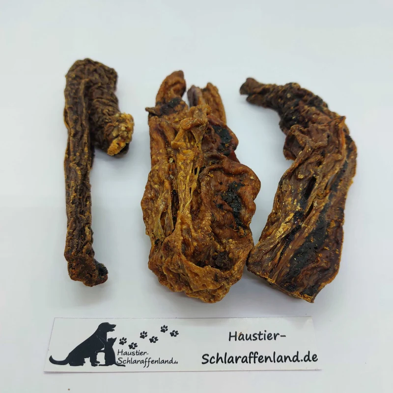 Rinder-Euter