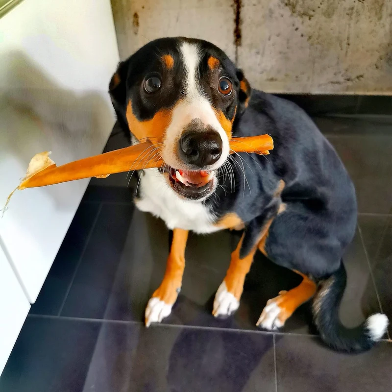 Rinder-Kopfhaut 30cm Premium