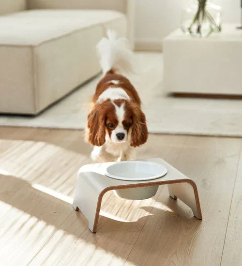 dogBar® Single Hundenapf | Porzellan | Cashmere Grey | 3 Größen