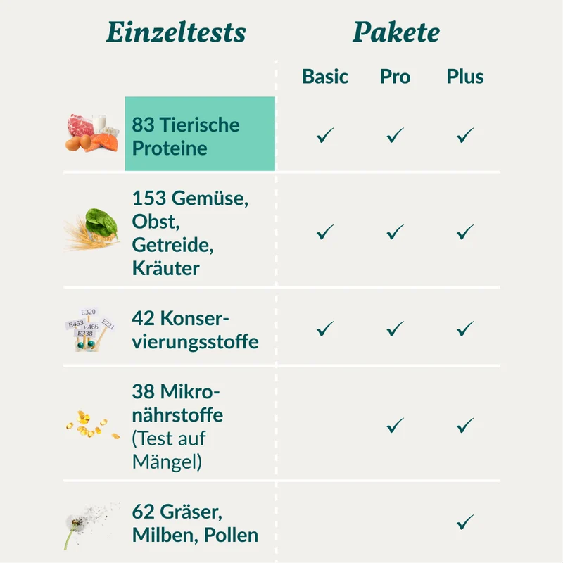 Vetevo Allergietest Hund – 83 Tierische Proteine testen | Fisch, Fleisch, Milch & Ei | Unverträglichkeiten erkennen bei Juckreiz, Durchfall & Pfotenlecken