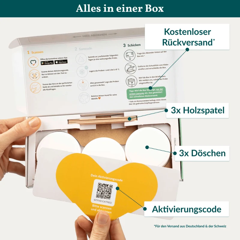 Vetevo Durchfalltest Hund – Schnelle Diagnose bei Durchfall, Erbrechen & Bauchschmerzen | Testet auf Coronaviren, Parvoviren, Giardien & Kryptosporidien