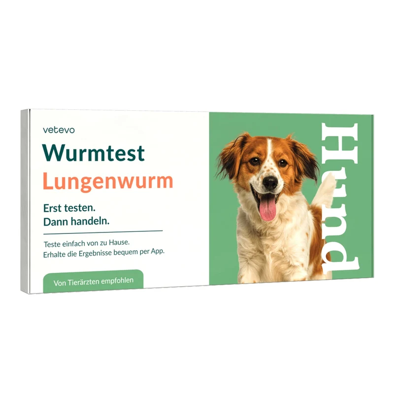 Vetevo Lungenwurmtest für Hunde – Zuverlässiger PCR- & ELISA-Wurmtest zu Hause gegen Lungen- & Herzwürmer (Angiostrongylus vasorum)