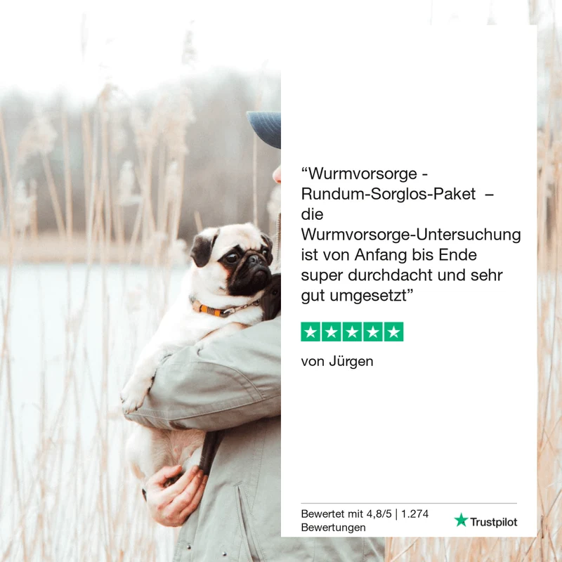 Vetevo Lungenwurmtest für Hunde – Zuverlässiger PCR- & ELISA-Wurmtest zu Hause gegen Lungen- & Herzwürmer (Angiostrongylus vasorum)