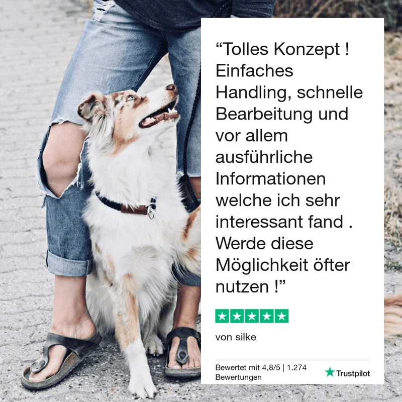 Vetevo Giardientest für Hunde – Zuverlässige Diagnose bei Durchfall & Verdauungsproblemen | ELISA-Analyse | Ergebnis in 12 Stunden