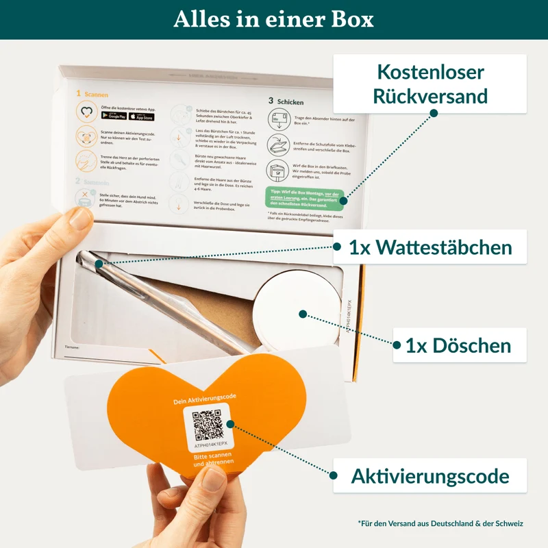 Vetevo Allergietest Pro Hund – 316 Futtermittel-Unverträglichkeiten & Nährstoffmängel aufdecken | Endlich Klarheit bei Juckreiz, Hautproblemen & Verdauungsbeschwerden
