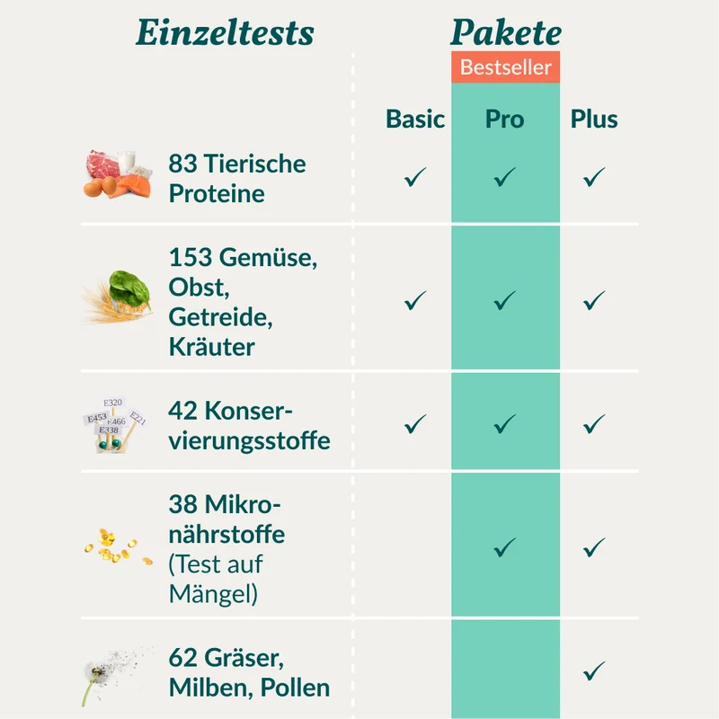 Vetevo Allergietest Pro Hund – 316 Futtermittel-Unverträglichkeiten & Nährstoffmängel aufdecken | Endlich Klarheit bei Juckreiz, Hautproblemen & Verdauungsbeschwerden