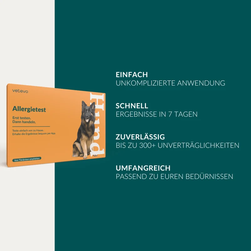 Vetevo Allergietest Pro Hund – 316 Futtermittel-Unverträglichkeiten & Nährstoffmängel aufdecken | Endlich Klarheit bei Juckreiz, Hautproblemen & Verdauungsbeschwerden