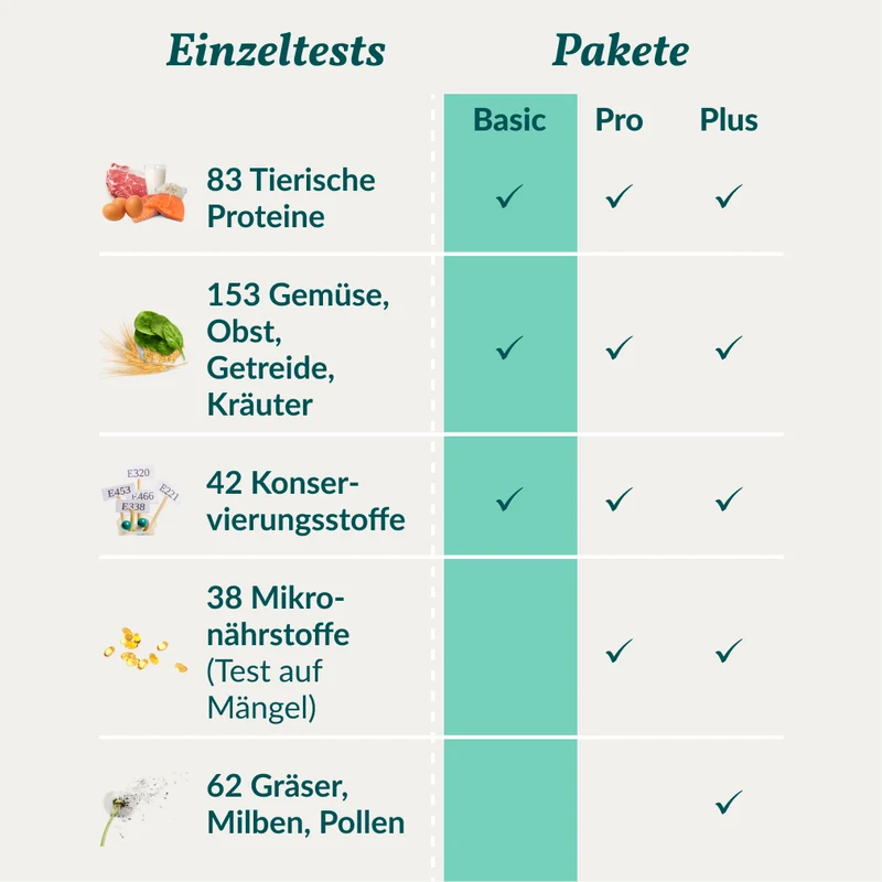 Vetevo Allergietest Basic Hund – 278 Futtermittel-Unverträglichkeiten erkennen | Bei Juckreiz, Pfotenlecken & Durchfall