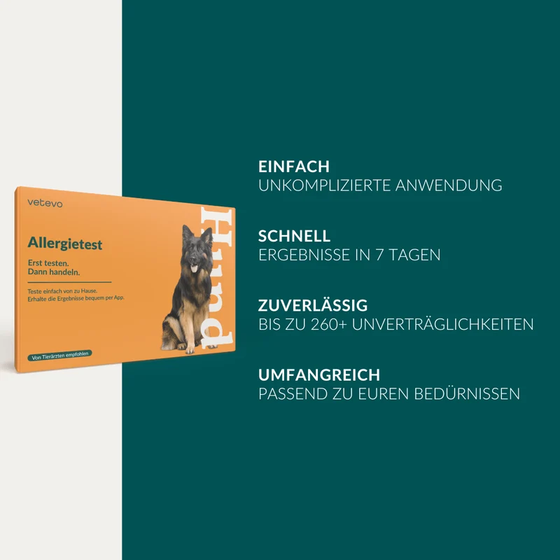 Vetevo Allergietest Basic Hund – 278 Futtermittel-Unverträglichkeiten erkennen | Bei Juckreiz, Pfotenlecken & Durchfall