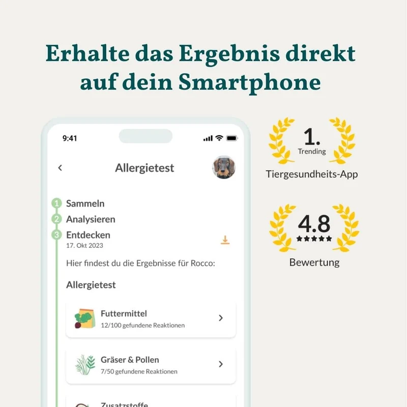 Vetevo Allergietest Basic Hund – 278 Futtermittel-Unverträglichkeiten erkennen | Bei Juckreiz, Pfotenlecken & Durchfall