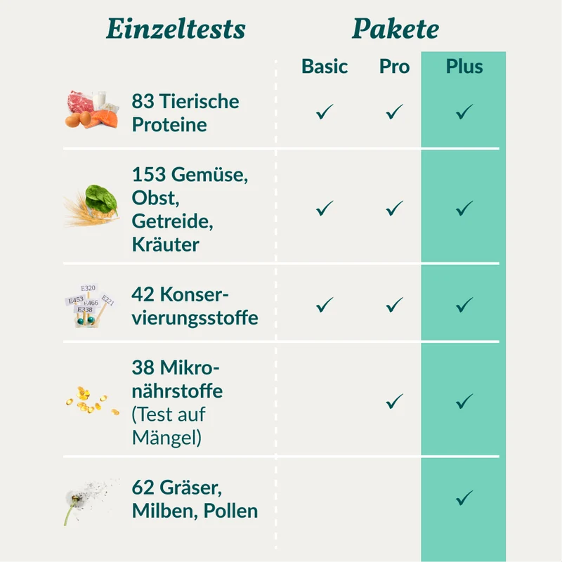 Vetevo Allergietest Plus Hund – 378 Unverträglichkeiten aufdecken & Juckreiz, Durchfall und Pfotenlecken endlich verstehen