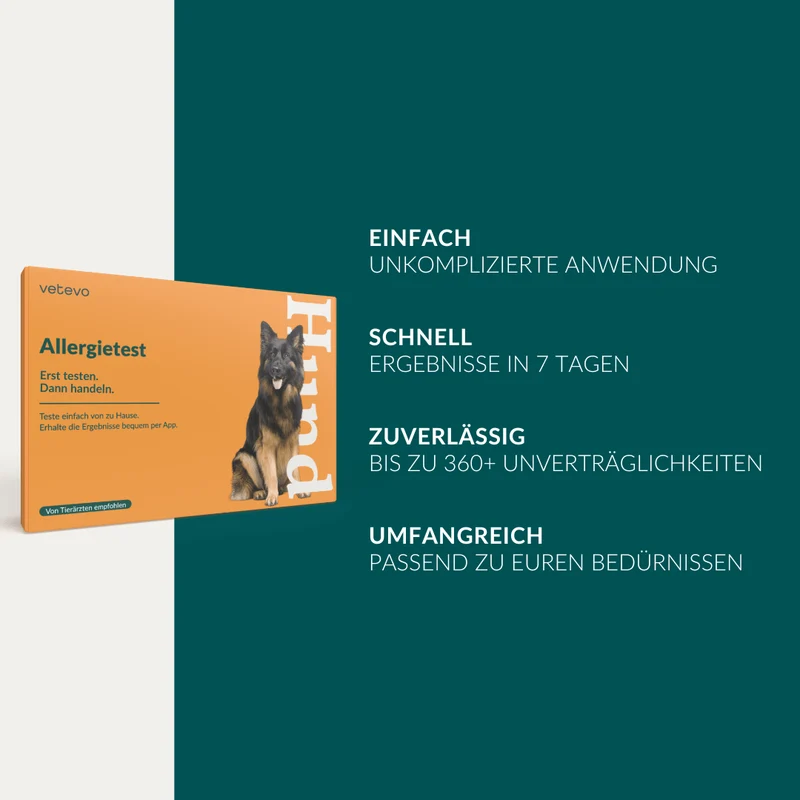 Vetevo Allergietest Plus Hund – 378 Unverträglichkeiten aufdecken & Juckreiz, Durchfall und Pfotenlecken endlich verstehen
