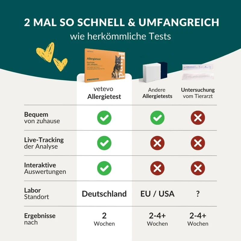 Vetevo Allergietest Plus Hund – 378 Unverträglichkeiten aufdecken & Juckreiz, Durchfall und Pfotenlecken endlich verstehen