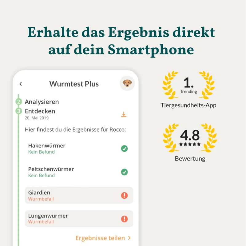 Vetevo Wurmtest Plus Hund – Zuverlässiger Kottest auf 9 Parasiten inkl. Lungenwürmer & Giardien