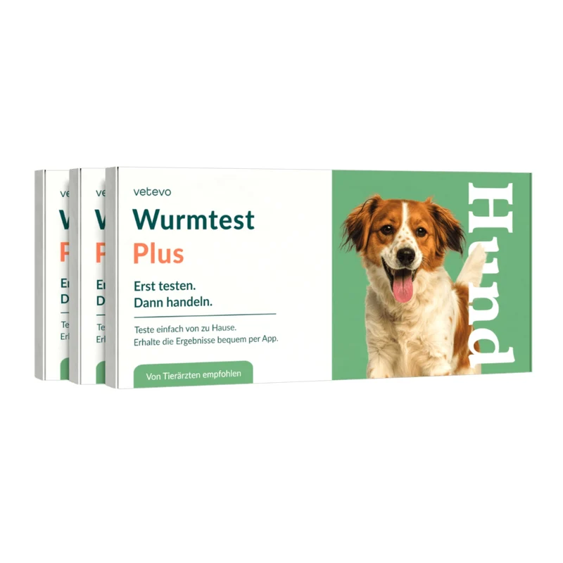 Vetevo Wurmtest Plus Hund – Zuverlässiger Kottest auf 9 Parasiten inkl. Lungenwürmer & Giardien