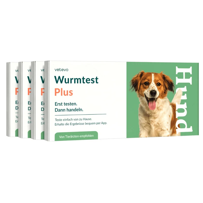 Vetevo Wurmtest Plus Hund – Zuverlässiger Kottest auf 9 Parasiten inkl. Lungenwürmer & Giardien