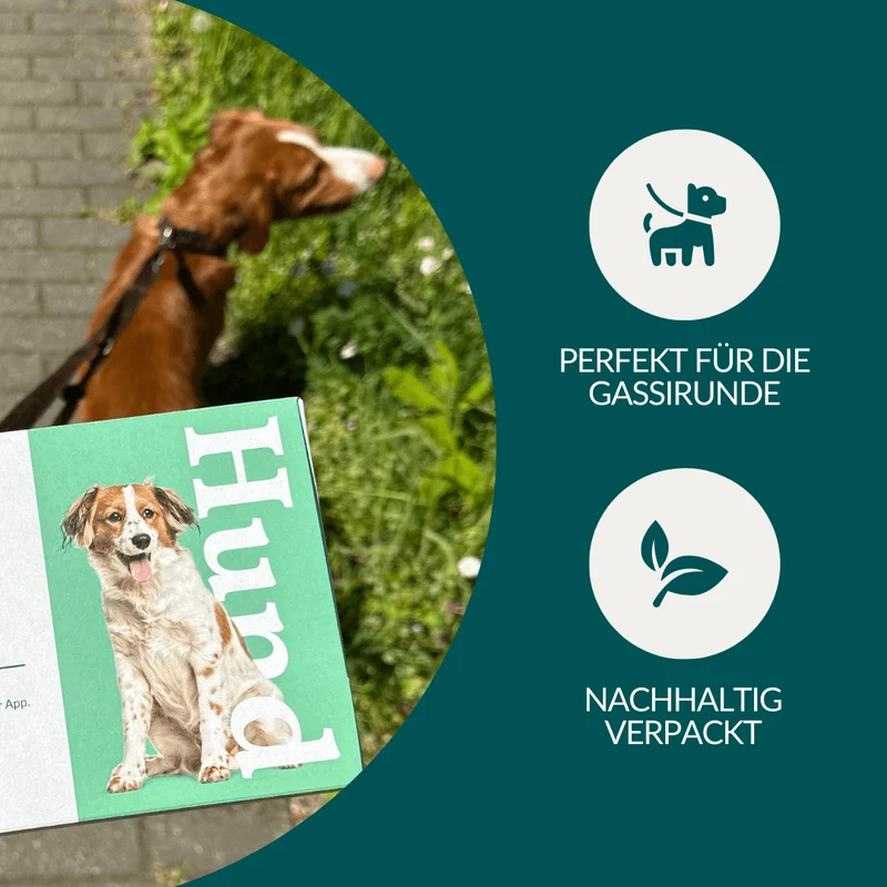 Vetevo Wurmtest Pro Hund – Zuverlässiger Kottest auf 7 Wurmarten & Giardien, bequem von zu Hause