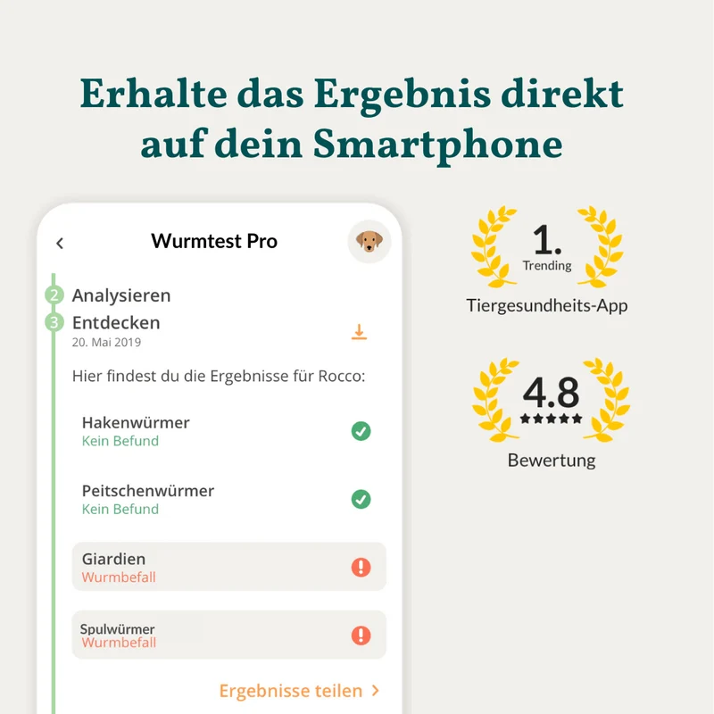 Vetevo Wurmtest Pro Hund – Zuverlässiger Kottest auf 7 Wurmarten & Giardien, bequem von zu Hause