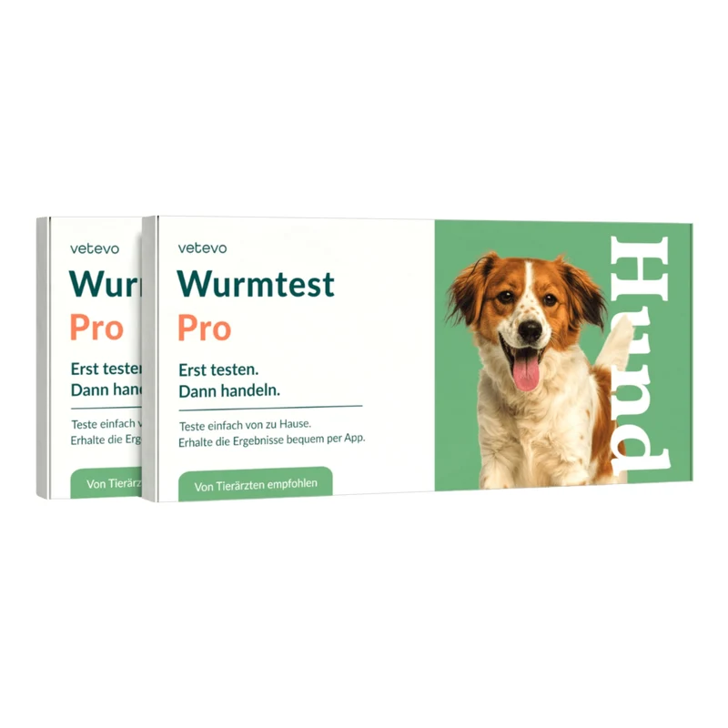 Vetevo Wurmtest Pro Hund – Zuverlässiger Kottest auf 7 Wurmarten & Giardien, bequem von zu Hause