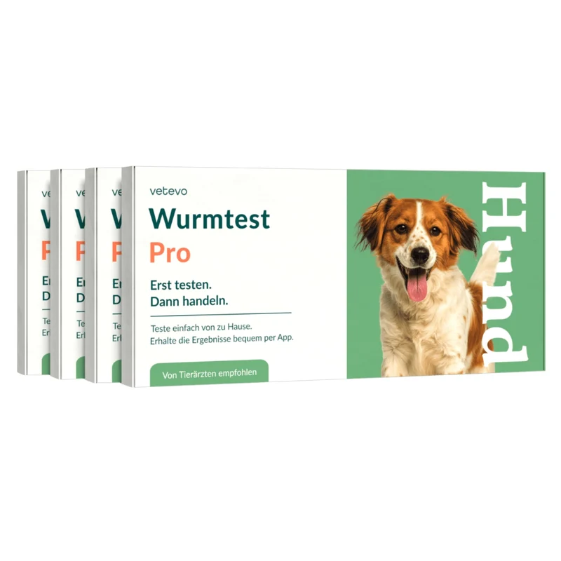 Vetevo Wurmtest Pro Hund – Zuverlässiger Kottest auf 7 Wurmarten & Giardien, bequem von zu Hause